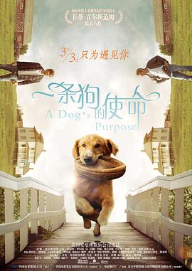 小叶去养老院做义工2