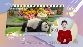 亚洲自拍在线观看